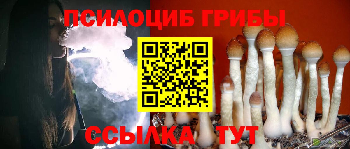 Галлюциногенные грибы Magic Shrooms  Псилоцибиновые грибы мухоморы  Азов  Вход с VPN 